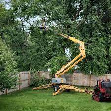 Best Lawn Pest Prevention  in Purvis, MS