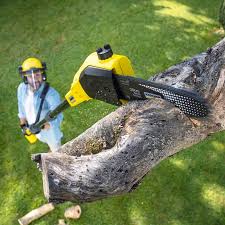 Best Leaf Removal  in Purvis, MS